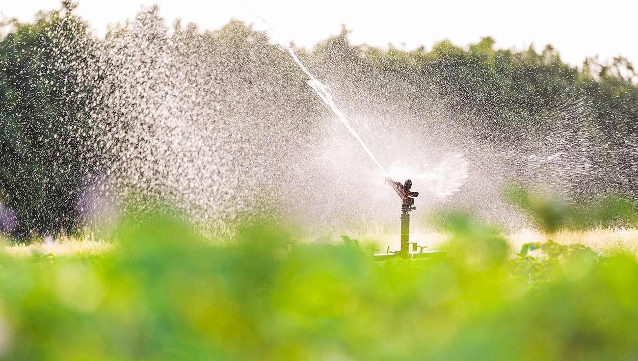 Irrigation System Irrigation System