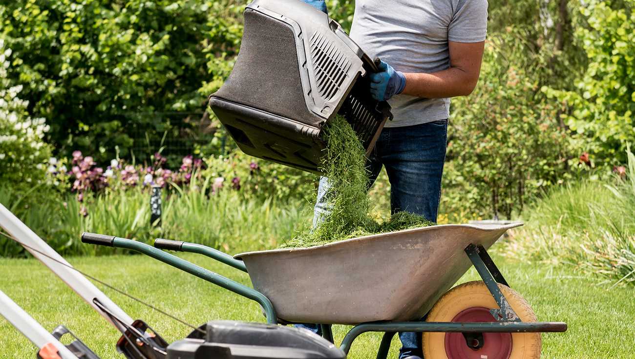 Debris Clean up Debris Clean up