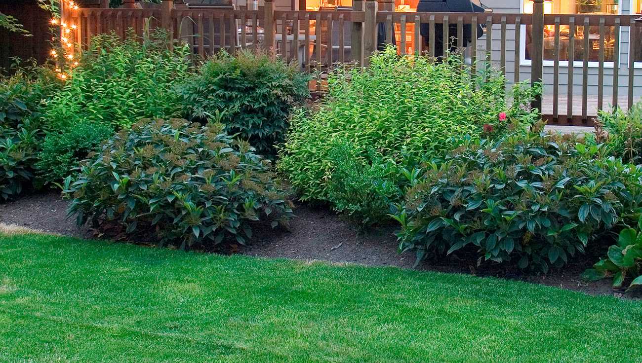 Lawn Care Mulching Services Lawn Care Mulching Services