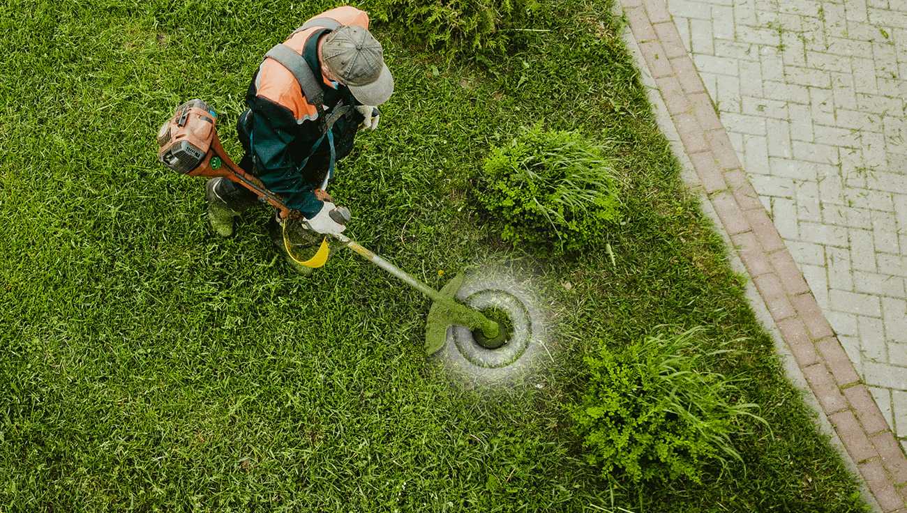 Lawn Care Specialist Hedge Trimming Lawn Care Specialist Hedge Trimming