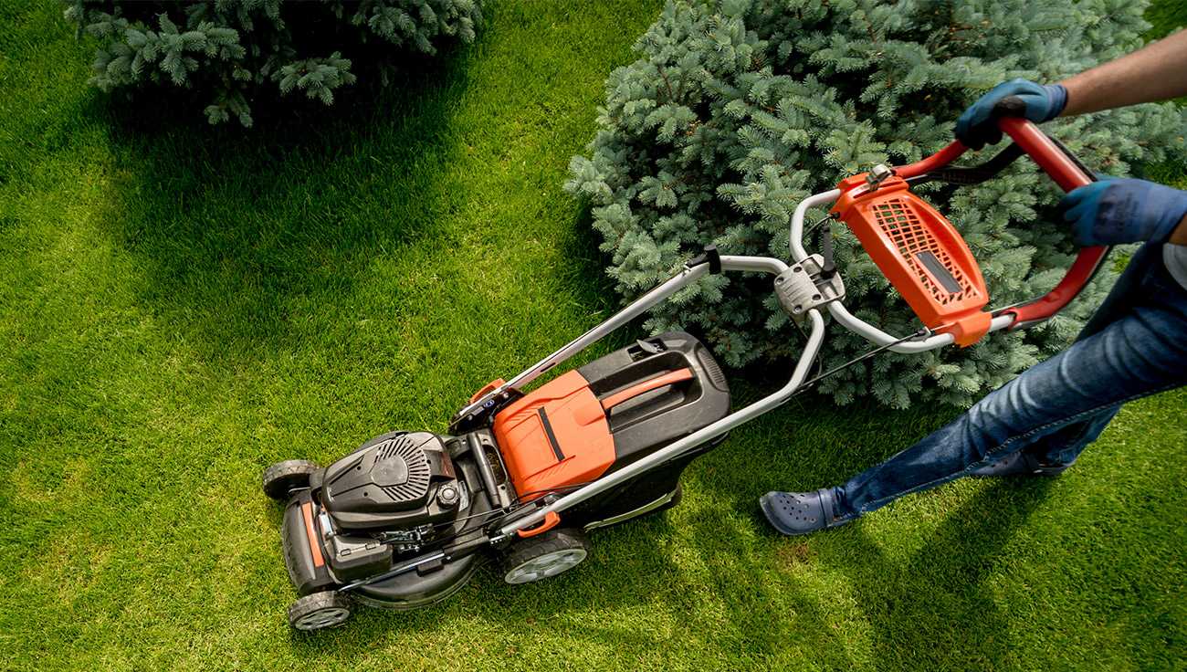 Lawn Care Specialist Mowing Lawn Care Specialist Mowing