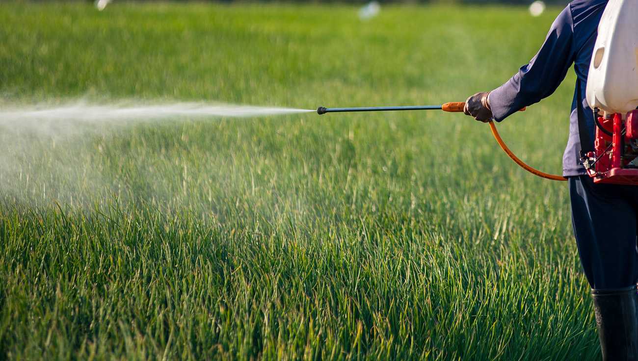 Lawn Care Specialist Applying Pest Control Lawn Care Specialist Applying Pest Control