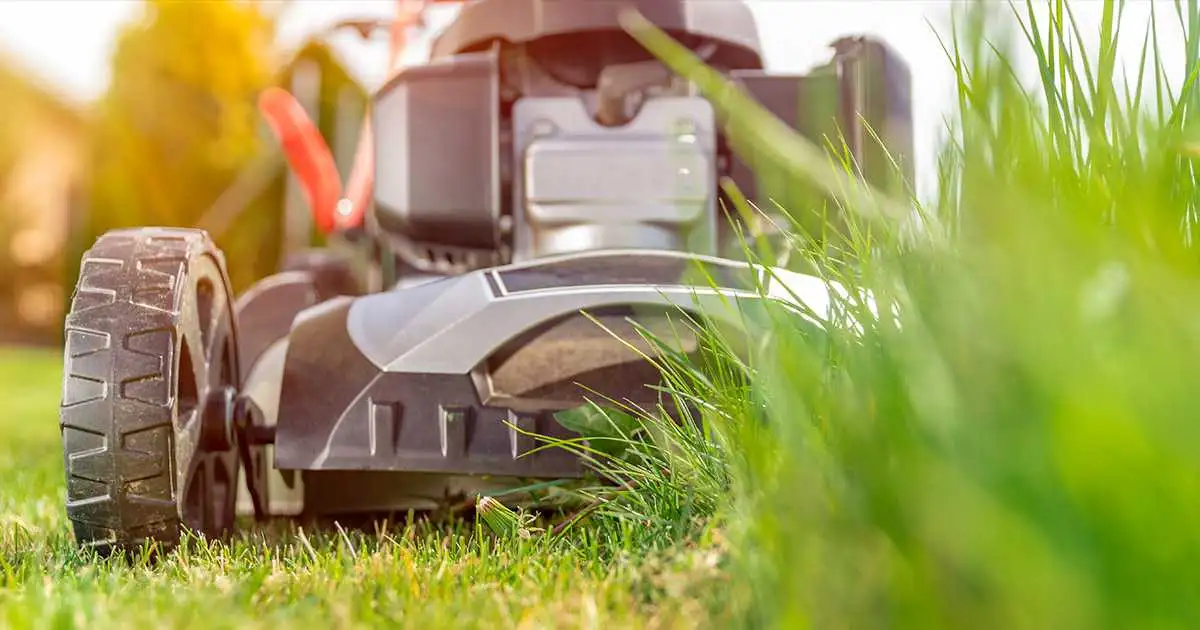 Mowing Lawn Care Services